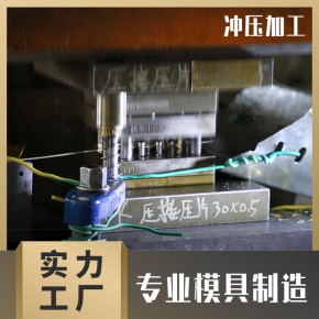  厂家直供冲压成型模医疗器械冲压连续模具电器连续模专业模具加工